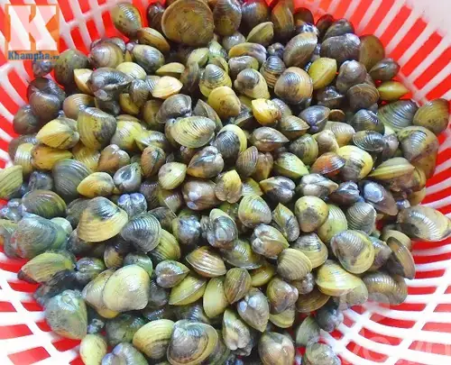 Cách Nấu Bún Riêu Hến Đậm Đà Hương Vị Quê Hương