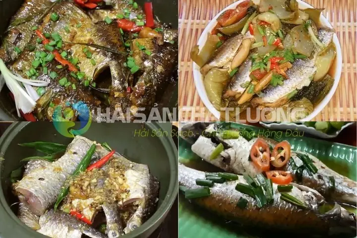Cách Nấu Cá Đối Ngon: 15+ Món Ngon Từ Cá Đối Chuẩn Vị Quê, Dễ Làm Tại Nhà Cách Nấu Cá Đối Ngon: 15+ Món Ngon Từ Cá Đối Chuẩn Vị Quê, Dễ Làm Tại Nhà