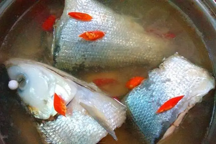 Cách Nấu Cá Măng Sông Thơm Ngon, Đậm Đà Chuẩn Vị Miền Tây