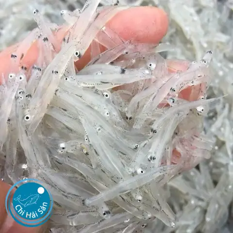 Cách Nấu Cá Mờm Tươi Ngon Chuẩn Vị, Không Bị Tanh