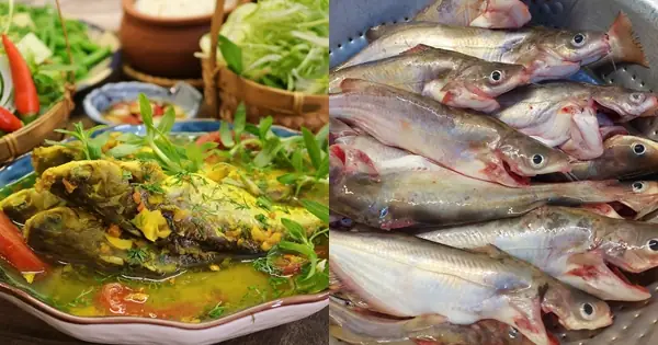 Cách Nấu Cá Ngạnh Om Mẻ Ngon Chuẩn Vị, Không Bị Tanh