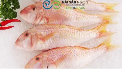 Cách Nấu Cá Phèn Hồng 1 Nắng Ngon Chuẩn Vị Nhà Hàng