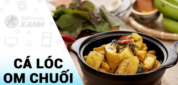 Cách Nấu Cá Quả Với Chuối Xanh: Bí Quyết Cho Món Ăn Đậm Đà Hương Vị Quê Hương