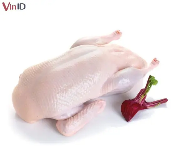 Cách Nấu Cà Ri Vịt Sữa Tươi: Công Thức Chuẩn Vị, Thơm Ngon Tại Nhà Cách Nấu Cà Ri Vịt Sữa Tươi: Công Thức Chuẩn Vị, Thơm Ngon Tại Nhà
