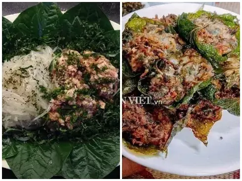 Khám Phá Cá Thủy Tinh: Nguồn Gốc, Công Dụng Và Những Điều Bạn Chưa Biết