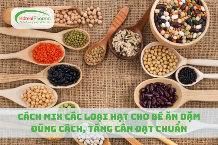 Cách Nấu Các Loại Hạt Cho Bé Ăn Dặm