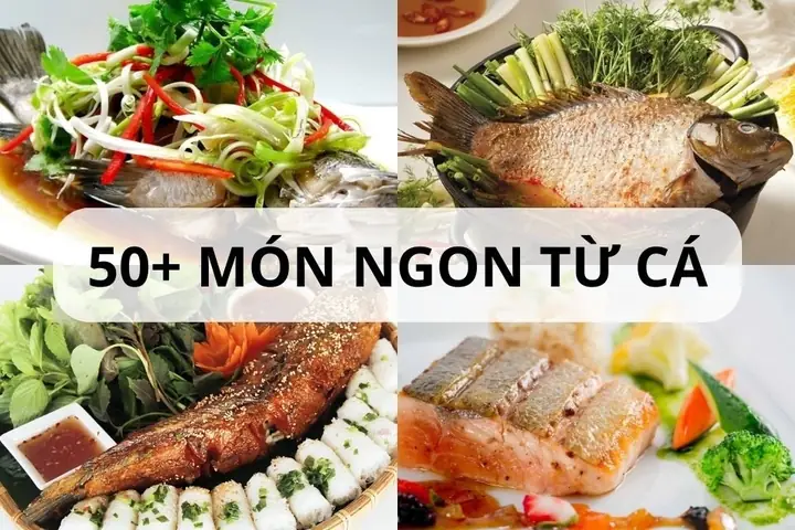Cách Nấu Các Món Cá Ngon, Đơn Giản Tại Nhà Cho Người Bận Rộn