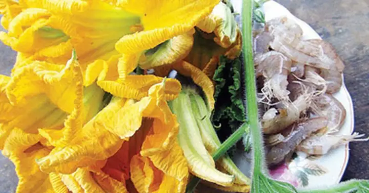 Cách Nấu Canh Bông Bí Với Tôm Thanh Mát Cho Ngày Hè