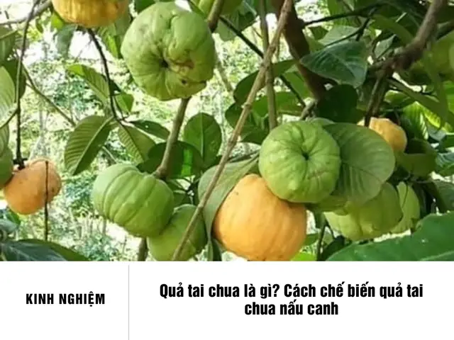 Cách Nấu Canh Cá Với Tai Chua: Hướng Dẫn Chi Tiết Từ A-z Cho Món Ăn Chuẩn Vị Cách Nấu Canh Cá Với Tai Chua: Hướng Dẫn Chi Tiết Từ A-z Cho Món Ăn Chuẩn Vị