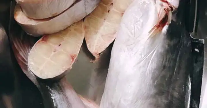 Cách Nấu Canh Chua Bần: Bí Quyết Giữ Vị Chua Thanh, Không Đắng Cho Món Ngon Ngày Hè Cách Nấu Canh Chua Bần: Bí Quyết Giữ Vị Chua Thanh, Không Đắng Cho Món Ngon Ngày Hè