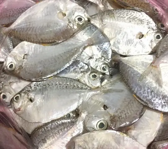 Cách Nấu Canh Chua Cá Liệt Thơm Ngon, Đậm Đà Chuẩn Vị Miền Tây