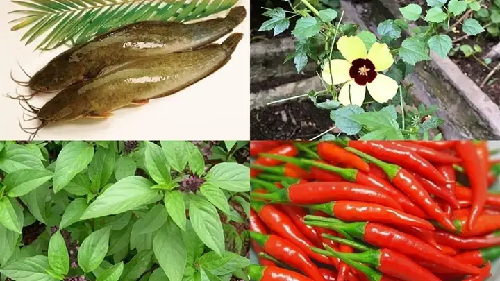 Cách Nấu Canh Chua Lá Bố: Hướng Dẫn Chi Tiết Từ A-z Cho Món Ăn Dân Dã
