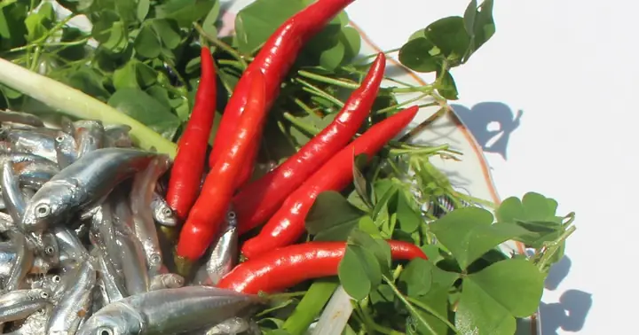 Cách Nấu Canh Chua Lá Me Đất: Hướng Dẫn Chi Tiết Từ Nguyên Liệu Đến Thành Phẩm