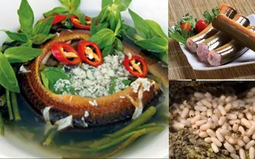 Cách Nấu Canh Chua Lươn Rau Muống: Bí Quyết Cho Món Ăn Dân Dã Chuẩn Vị Cách Nấu Canh Chua Lươn Rau Muống: Bí Quyết Cho Món Ăn Dân Dã Chuẩn Vị