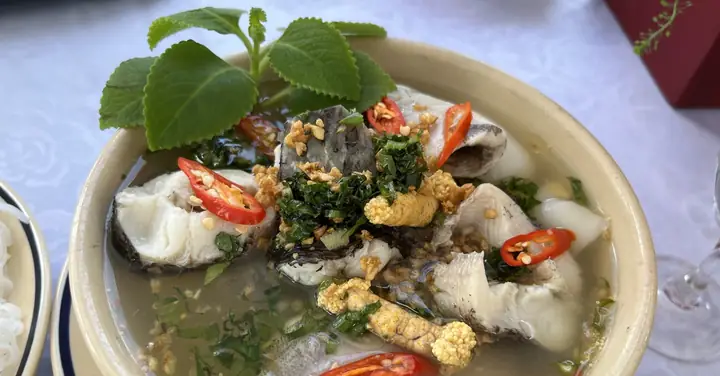 Cách Nấu Canh Chua Mận Ngon Chuẩn Vị Miền Bắc