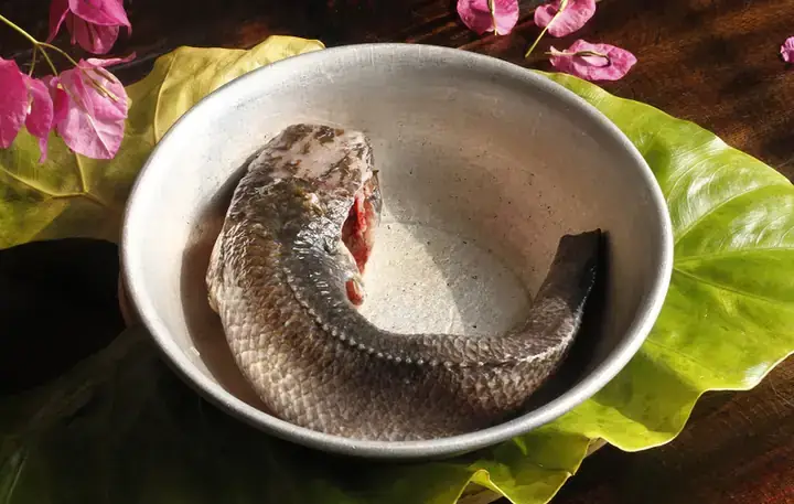 Cách Nấu Canh Củ Sắn Ngon, Thanh Mát Cho Bữa Cơm Gia Đình