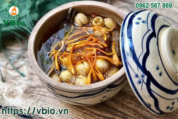 Cách Nấu Canh Đông Trùng Hạ Thảo Tươi Chuẩn Vị Bổ Dưỡng