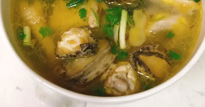 Cách Nấu Canh Gà Bào Ngư: Hướng Dẫn Chi Tiết Từ A-z Cho Bữa Cơm Gia Đình Cách Nấu Canh Gà Bào Ngư: Hướng Dẫn Chi Tiết Từ A-z Cho Bữa Cơm Gia Đình