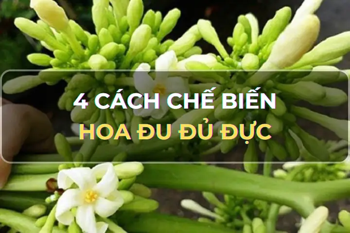 Cách Nấu Canh Hoa Đu Đủ Đực Thanh Mát, Bổ Dưỡng Cho Bữa Cơm Gia Đình
