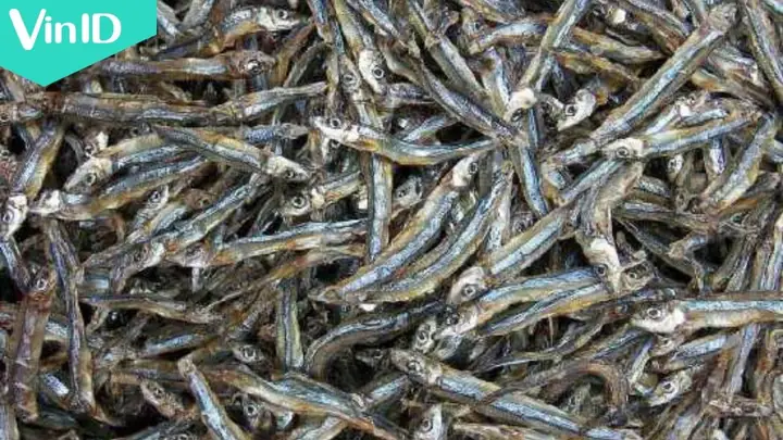Cách Nấu Canh Khế Với Cá Khô Ngon Chuẩn Vị Quê
