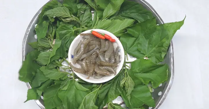 Cách Nấu Canh Lá Dâu Tằm Thanh Mát Giải Nhiệt Cho Ngày Hè