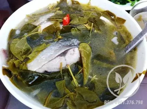 Cách Nấu Canh Lá Giang Cá Khô Chuẩn Vị Miền Tây, Đậm Đà Khó Cưỡng