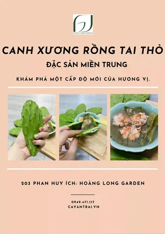 Hướng Dẫn Chi Tiết Cách Nấu Canh Lưỡi Rồng Thơm Ngon, Bổ Dưỡng Cho Bữa Cơm Gia Đình