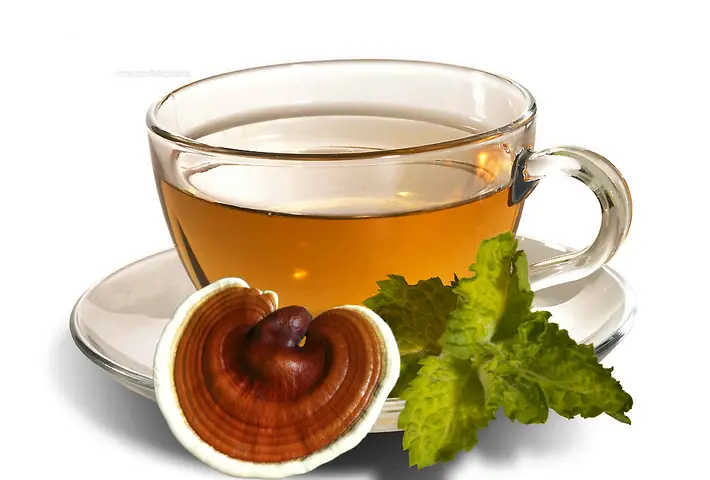 Cách Nấu Canh Nấm Linh Chi Thơm Ngon Bổ Dưỡng Cho Bữa Cơm Gia Đình