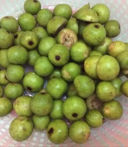 Cách Nấu Canh Quả Sung Ngon Ngọt, Bổ Dưỡng Cho Cả Gia Đình