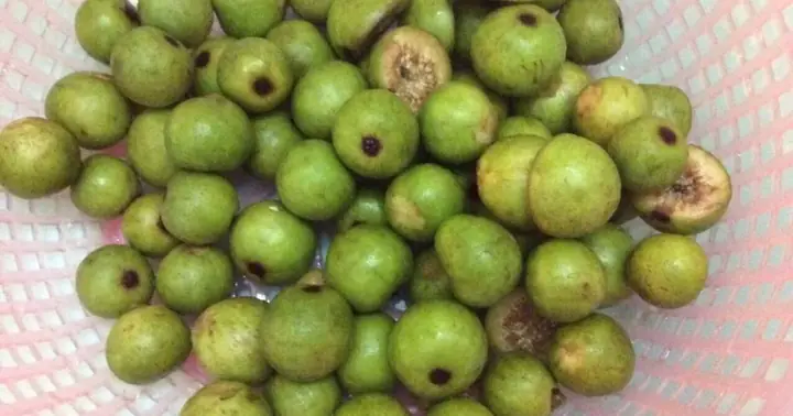 Cách Nấu Canh Quả Sung Ngon Ngọt, Bổ Dưỡng Cho Cả Gia Đình