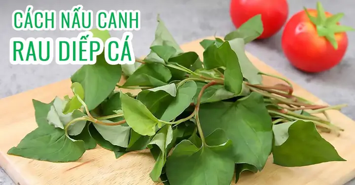 Cách Nấu Canh Rau Diếp Cá Ngon Cách Nấu Canh Rau Diếp Cá Ngon