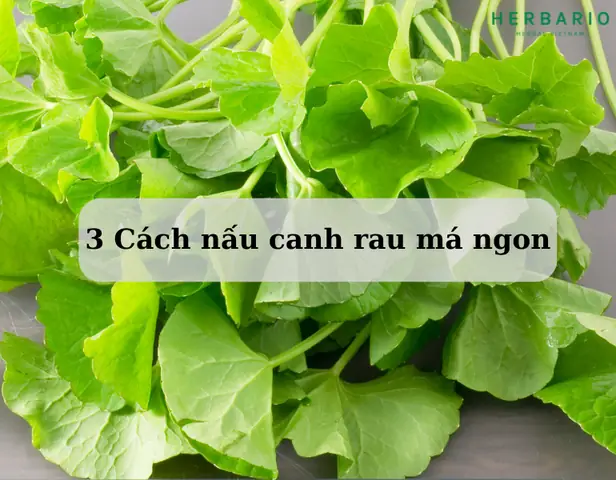 Cách Nấu Canh Rau Má Chay Thanh Mát, Bổ Dưỡng Cho Ngày Hè