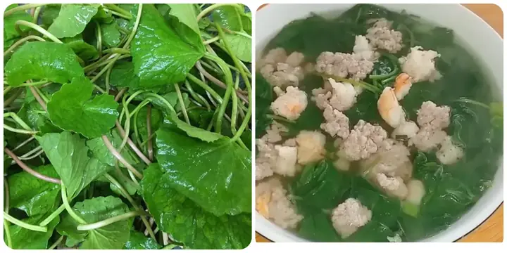Cách Nấu Canh Rau Má Không Bị Đắng