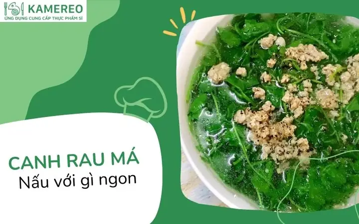 Cách Nấu Canh Rau Má Với Thịt Bò: Hướng Dẫn Chi Tiết Và Bí Quyết Giữ Nguyên Dưỡng Chất Cách Nấu Canh Rau Má Với Thịt Bò: Hướng Dẫn Chi Tiết Và Bí Quyết Giữ Nguyên Dưỡng Chất