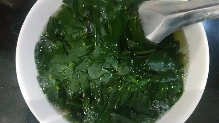 Cách Nấu Canh Rau Ngót Chay Thơm Ngon Bổ Dưỡng Cách Nấu Canh Rau Ngót Chay Thơm Ngon Bổ Dưỡng