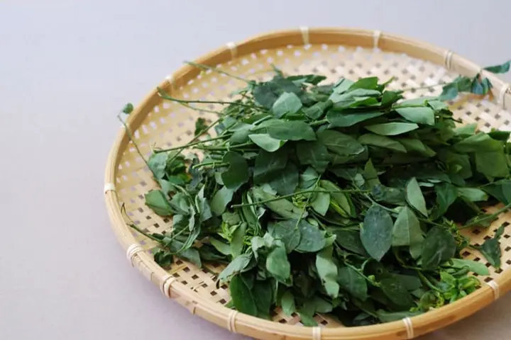 Cách Nấu Canh Rau Ngót Đơn Giản, Ngọt Thịt Và Không Bị Đắng