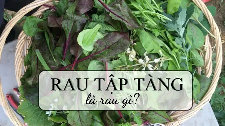 Cách Nấu Canh Rau Vặt Thanh Mát, Bổ Dưỡng Cho Bữa Cơm Gia Đình