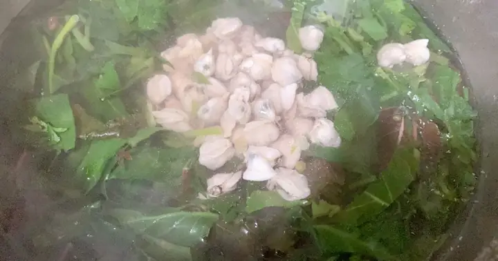 Cách Nấu Canh Rau Vặt Thanh Mát, Bổ Dưỡng Cho Bữa Cơm Gia Đình