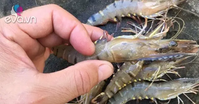 10+ Cách Nấu Canh Tôm Không Tanh, Thơm Ngon Đúng Điệu Cho Gia Đình