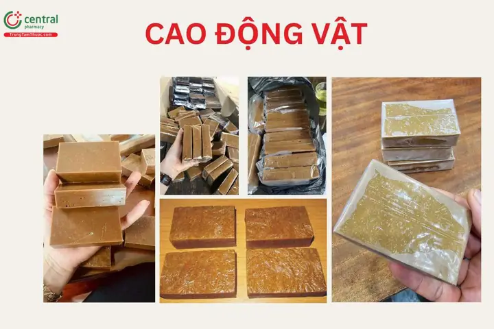 Cách Nấu Cao Động Vật Tại Nhà Chuẩn Nhất: Hướng Dẫn Chi Tiết Từ A-z