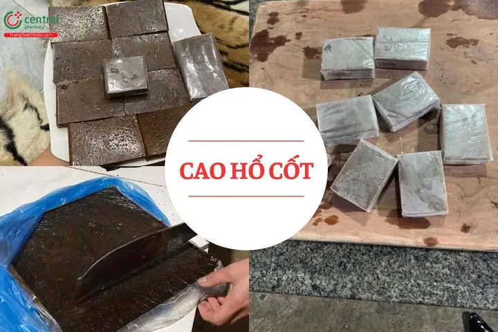 Hướng Dẫn Chi Tiết Cách Nấu Cao Hổ Cốt Chuẩn Y Học Cổ Truyền