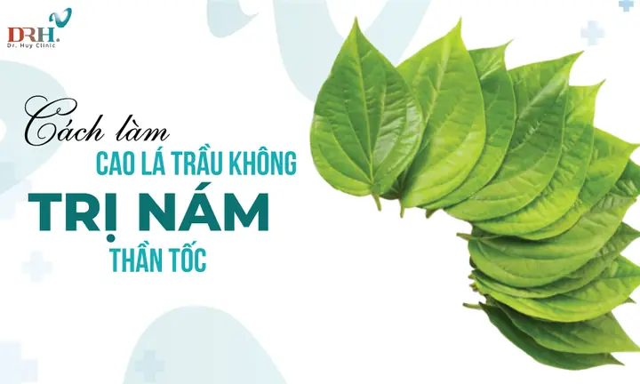 Cách Nấu Cao Lá Trầu Không Tại Nhà Chuẩn Vị Và Hiệu Quả Cách Nấu Cao Lá Trầu Không Tại Nhà Chuẩn Vị Và Hiệu Quả