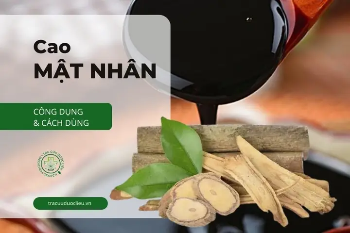 Cách Nấu Cao Mật Nhân Chuẩn Bị Cho Người Lớn Tuổi Và Người Hay Uống Rượu Bia
