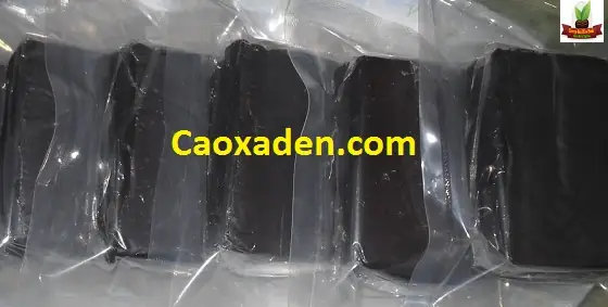 Cách Nấu Cao Xạ Đen Chuẩn Nhất Tại Nhà