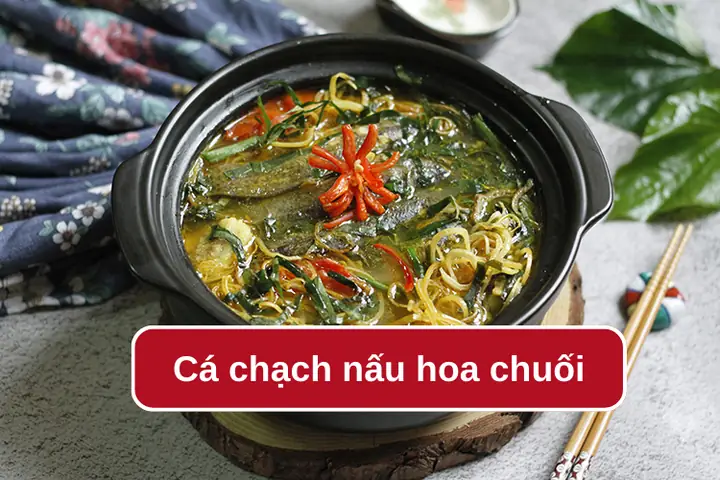 Cách Nấu Chạch Hoa Chuối: Bí Quyết Tạo Nên Hương Vị Quê Nhà Dân Dã Cách Nấu Chạch Hoa Chuối: Bí Quyết Tạo Nên Hương Vị Quê Nhà Dân Dã