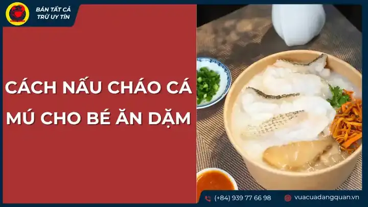 Cách Nấu Cháo Cá Biển Cho Bé Dinh Dưỡng Và An Toàn