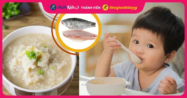 Cách Nấu Cháo Cá Chẽm Thơm Ngon, Bổ Dưỡng Cho Mọi Nhà