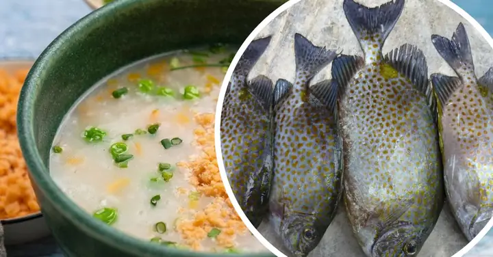 Cách Nấu Cháo Cá Dìa Ngon Cách Nấu Cháo Cá Dìa Ngon