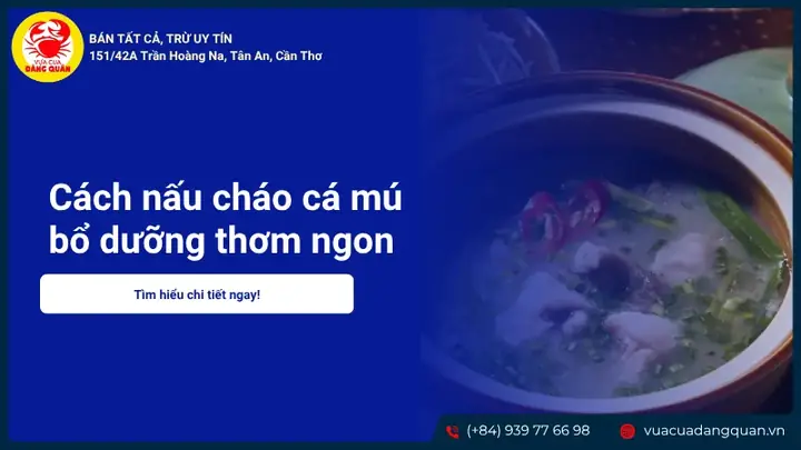 Cách Nấu Cháo Cá Ngon Chuẩn Vị, Bổ Dưỡng Cho Gia Đình Cách Nấu Cháo Cá Ngon Chuẩn Vị, Bổ Dưỡng Cho Gia Đình