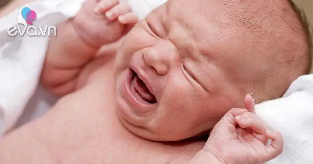Cách Nấu Cháo Cá Thu Cho Bé 8 Tháng Thơm Ngon, Bổ Dưỡng